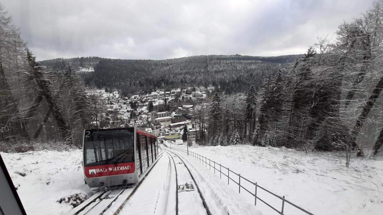 Apartment Wildbad Bad Wildbad Eksteriør billede